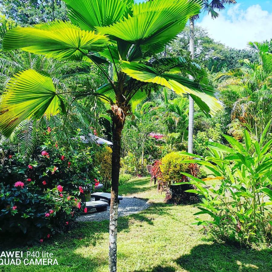 Hotel Belvedere Playa Samara Costa Rica Exterior photo