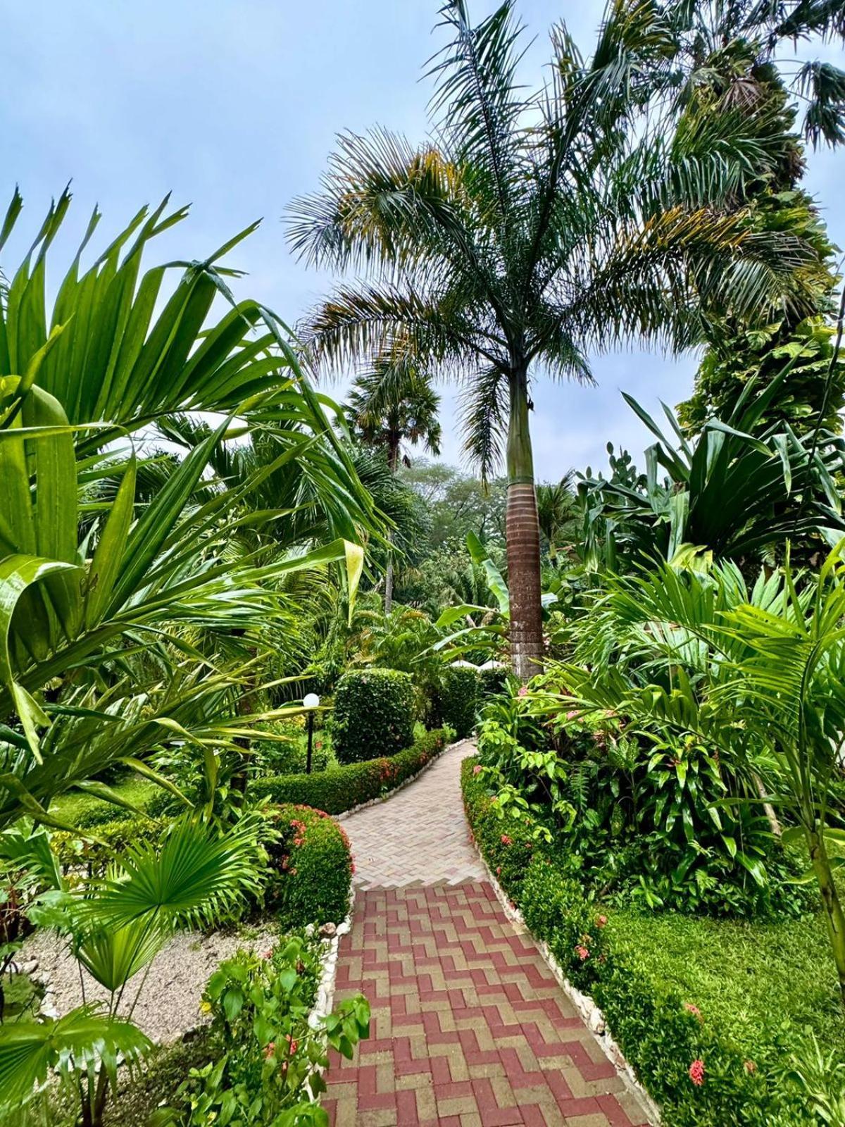 Hotel Belvedere Playa Samara Costa Rica Exterior photo